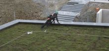 Fall arrest on green roof - Weiswampach, Luxembourg