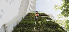 RopeClimber on green wall - Paris, France